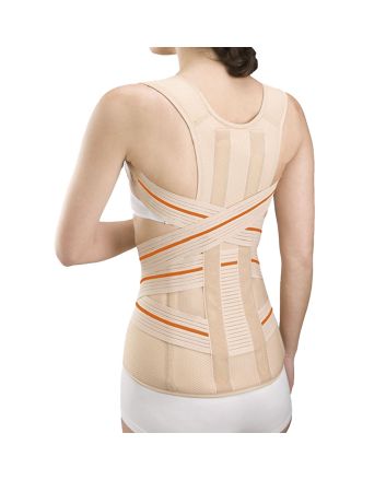 Orliman Dorsolumbar Belt