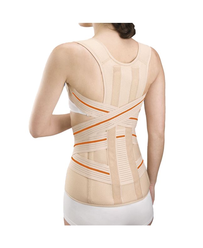 Orliman Dorsolumbar Belt